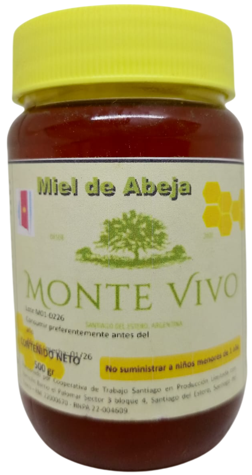MIEL MONTE VIVO X 500 GRS