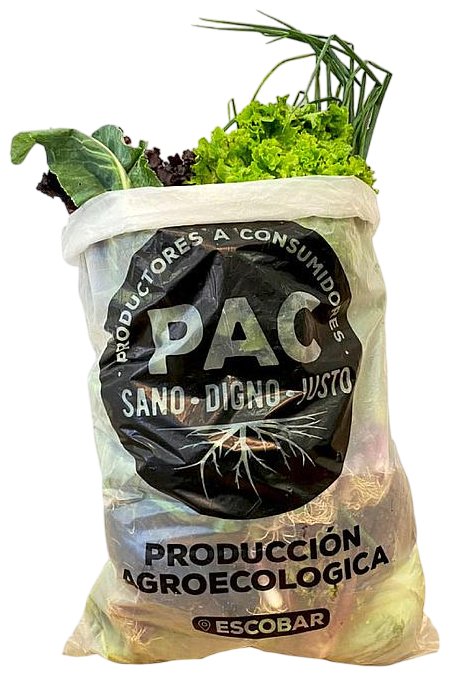 ​​BOLSON VERDURAS AGROECOLOGICAS DE ESTACION X 5 KILOS